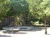 dscn0439_small.jpg